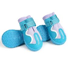 TRUELOVE Water Resistant Dog Shoes With TPR Sole – Algiers Blue / Lavendar